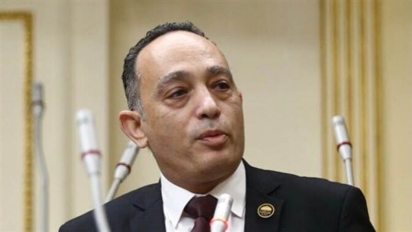  النائب فريدى البياضى