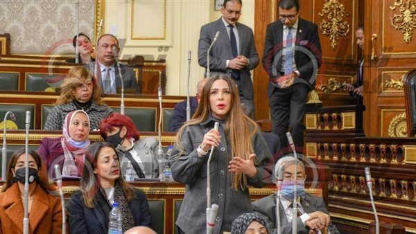  النائبة فاطمة سليم