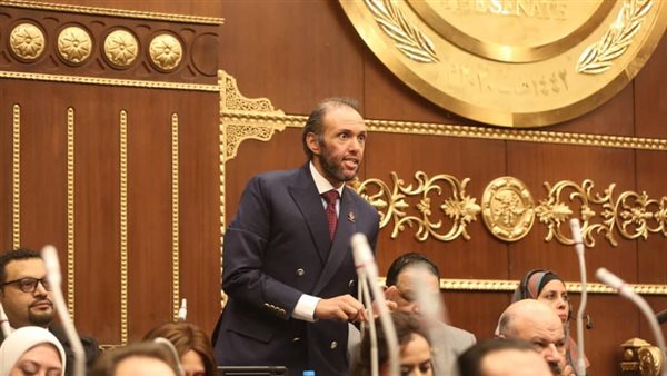  النائب محمد فريد