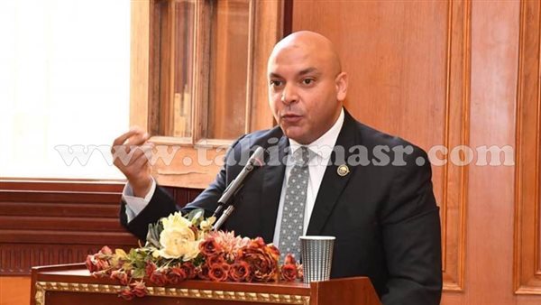 النائب محمود القط