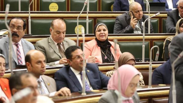 النائبة مايسة عطوة