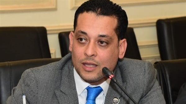 النائب محمد نشأت