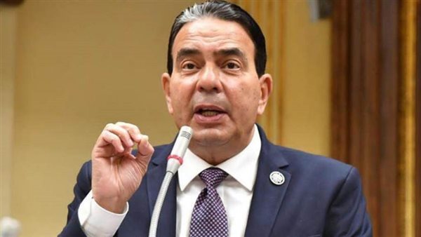 أيمن أبو العلا وكيل