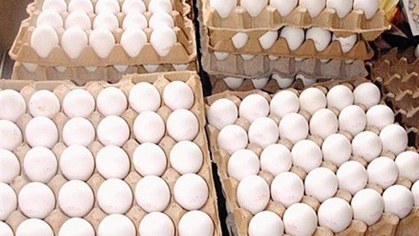 بيض المائدة