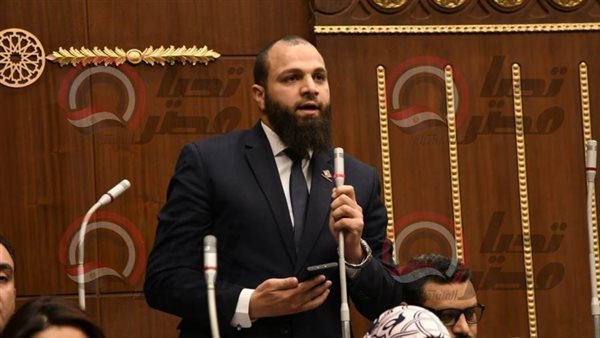 النائب محمود تركي