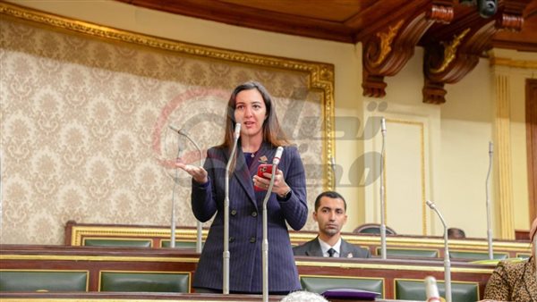 النائبة هادية حسني