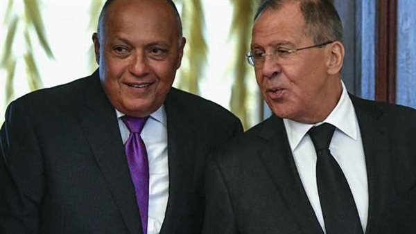 وزير الخارجية المصري