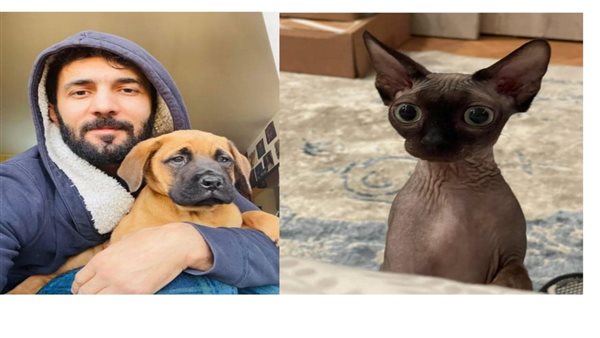 تريند أسماء القطط