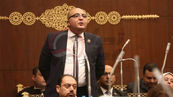 النائب عمرو عزت حجاج