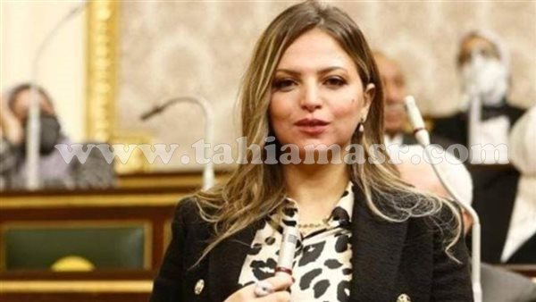 النائبة مي رشدي عضو