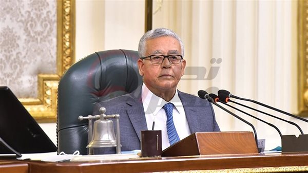 المستشار الدكتور