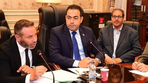 الدكتور محمود حسين