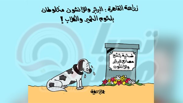 كاريكاتير تحيا مصر