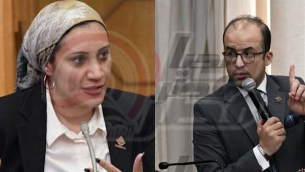 النائب خالد بدوي