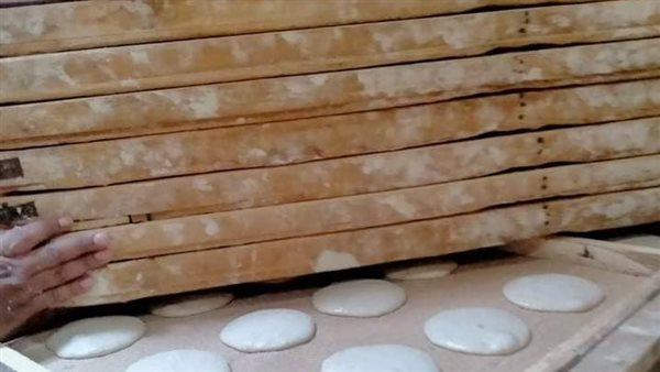 حملة تموينية