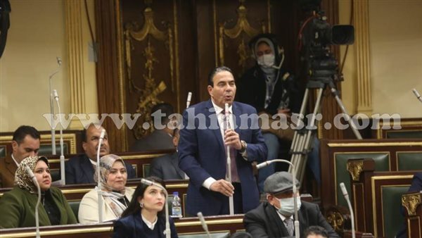 النائب أيمن أبو العلا