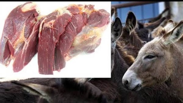 لحوم خنازير وحمير