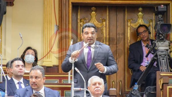 النائب محمود عصام