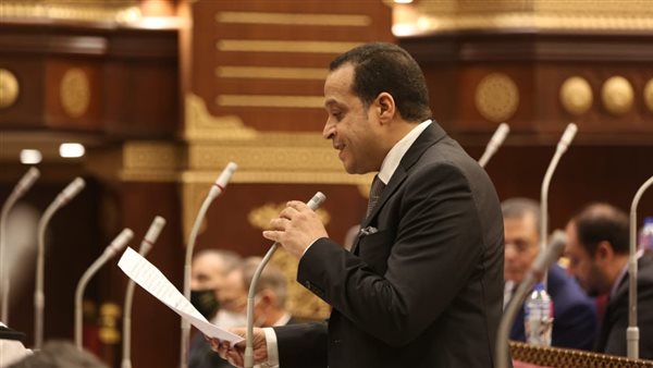 النائب خالد أبو الوفا