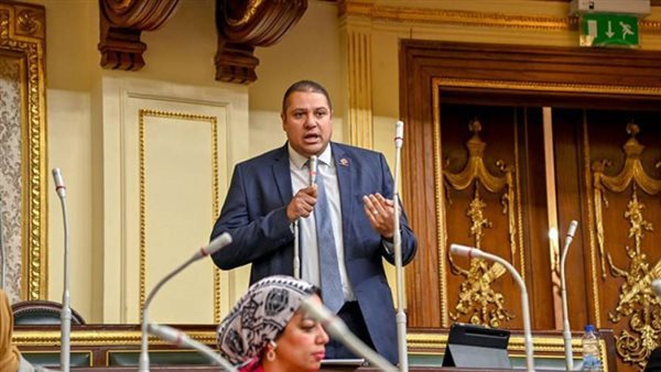  النائب محمد إسماعيل