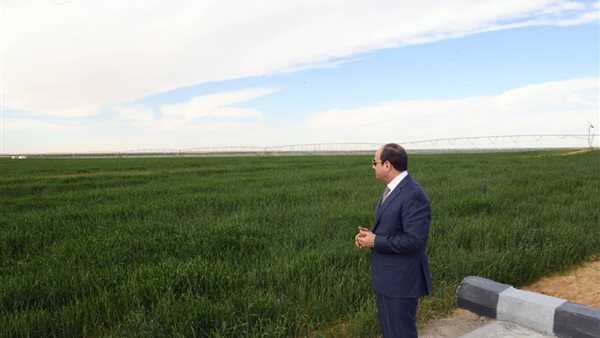  مشروع توشكى 