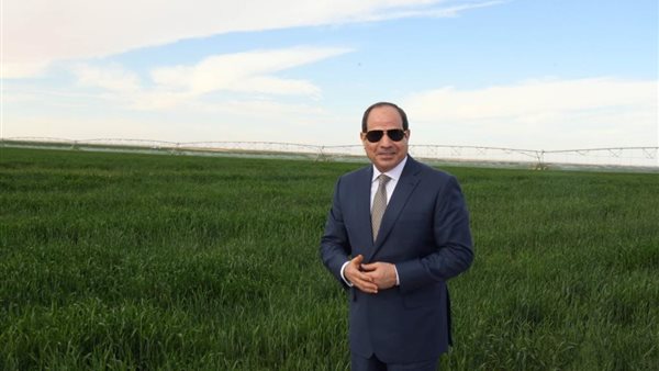  مشروع توشكى