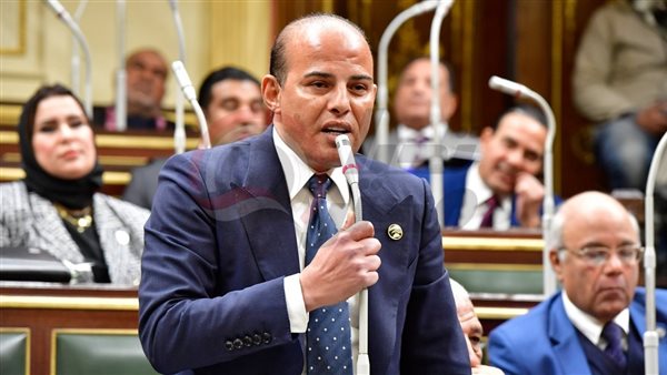  النائب عمرو القطامي