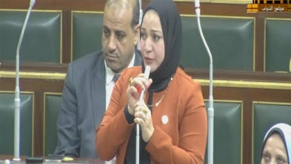 النائبة صفاء عبد