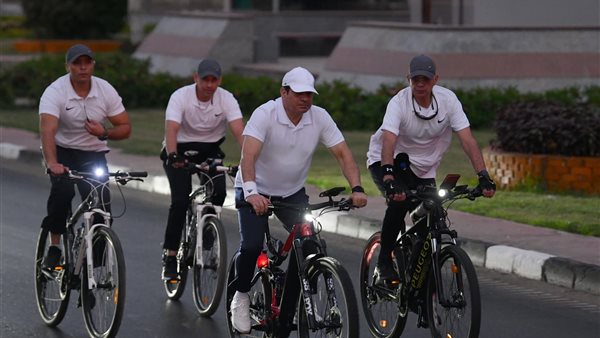 الرئيس السيسي 