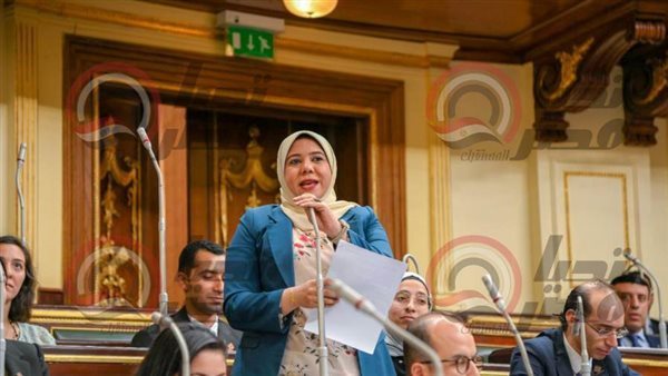 النائبة هيام الطباخ