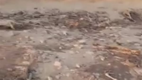 مقبرة هياكل حمير