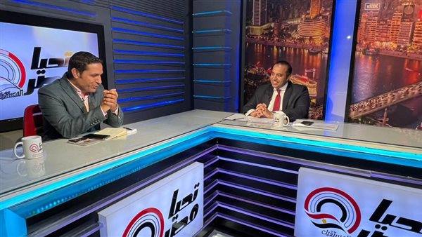 المستشار محمود فوزى