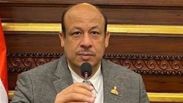 النائب سمير البيومي