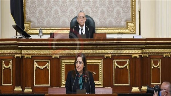 وزيرة التخطيط والتنمية