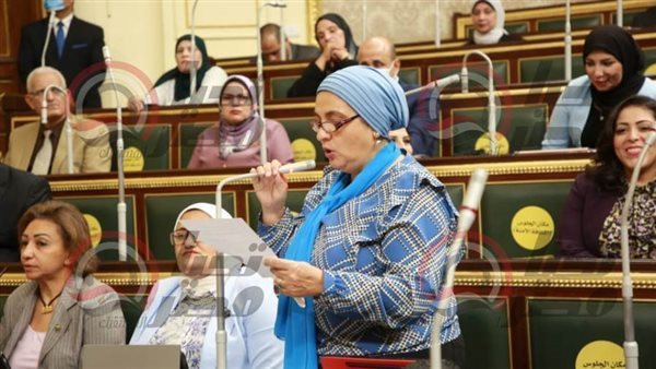  النائبة سميرة الجزار