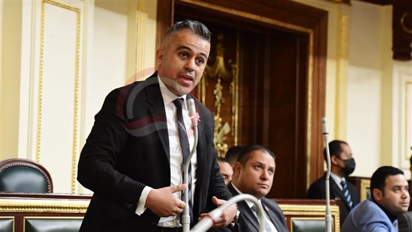 النائب أحمد فتحي