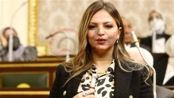 النائبة مي رشدي عضو