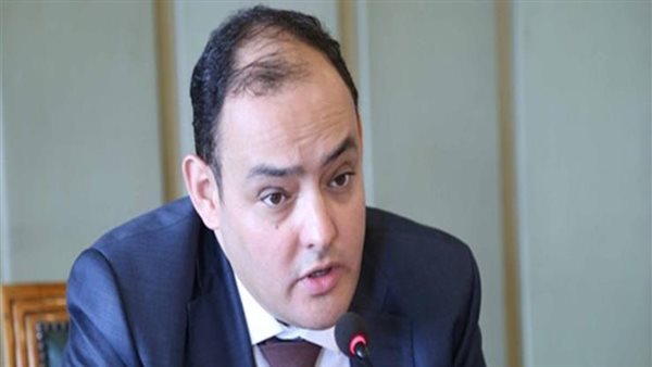 النائب أحمد سمير