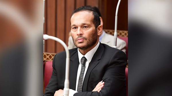 النائب محمد حلاوة