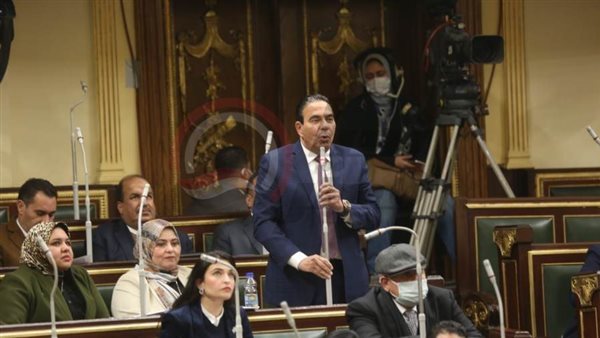 النائب أيمن أبو العلا