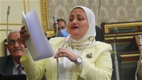  النائبة سناء السعيد