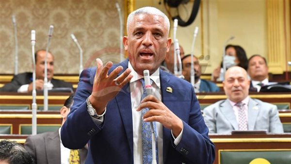 النائب محمد الحسيني