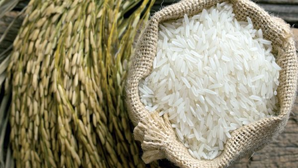 الأرز الهندي 