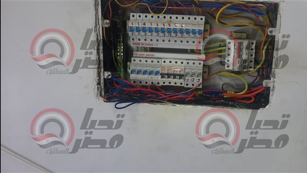 صورة من الماس الكهربائي