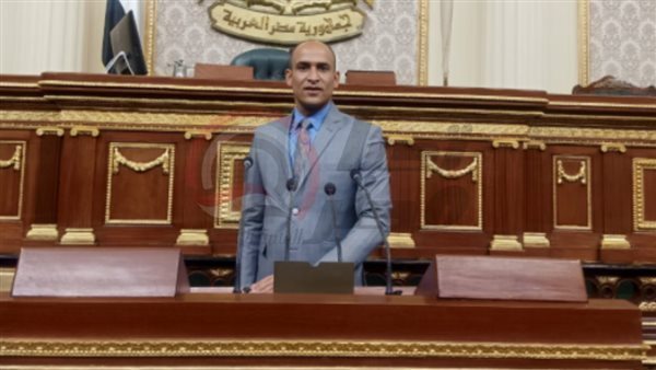 النائب حسام أبو زيد