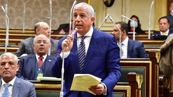 النائب كريم درويش