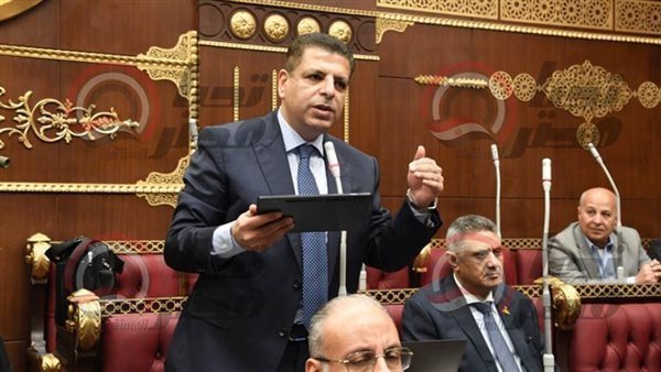 النائب محمود سامي