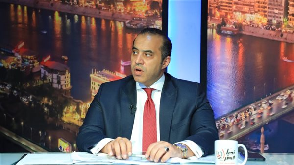 المستشار محمود فوزى