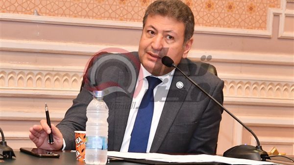 النائب طارق شكري