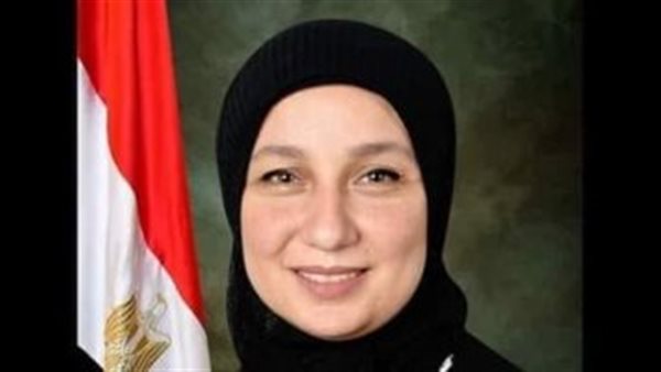 النائبة إيمان الألفي